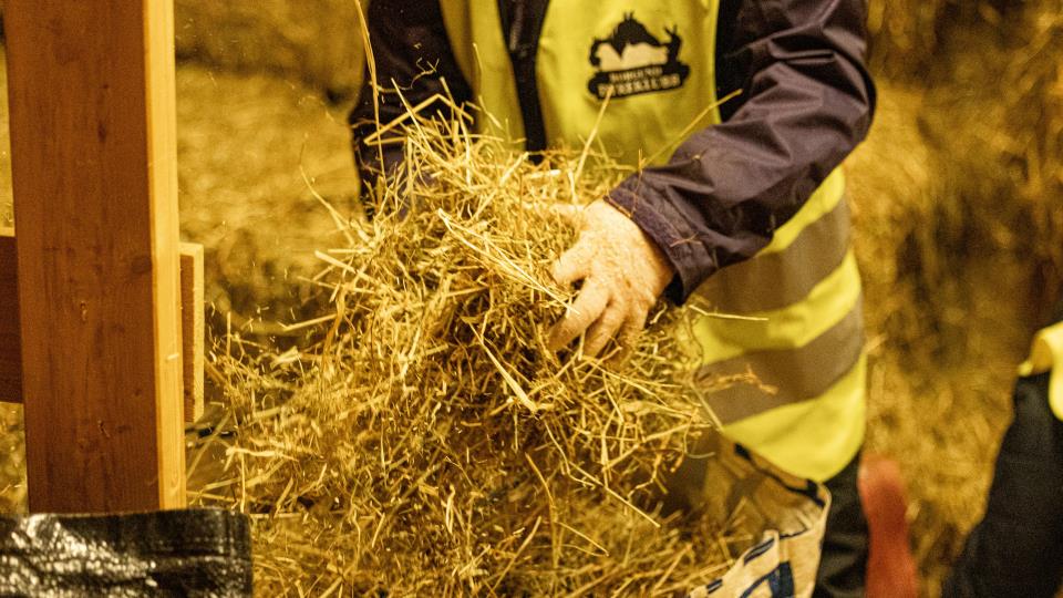 Lenke til artikkel: Bli dyrepasser