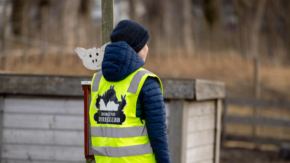 Lenke til artikkel: Bli assistent