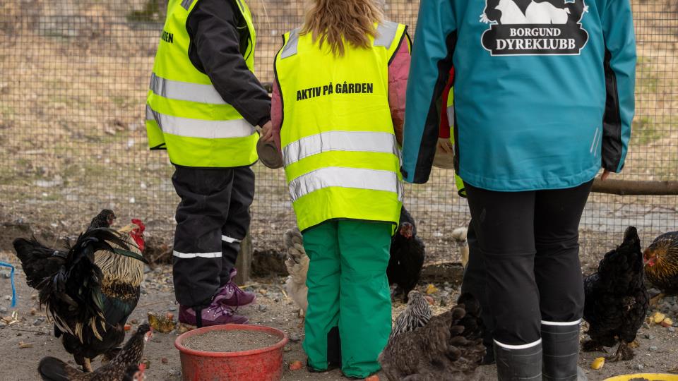Lenke til artikkel: Alternativ praktisk opplæring