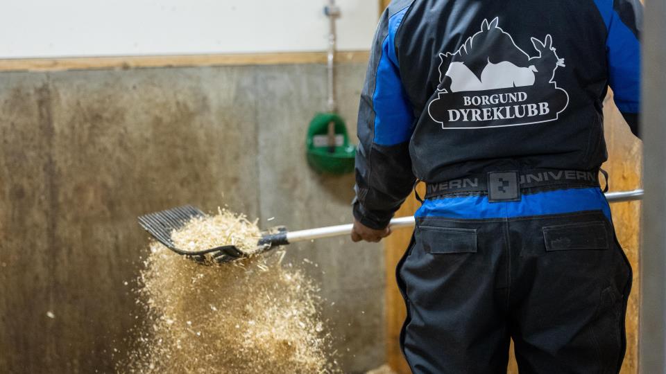 Lenke til artikkel: Arbeidspraksis