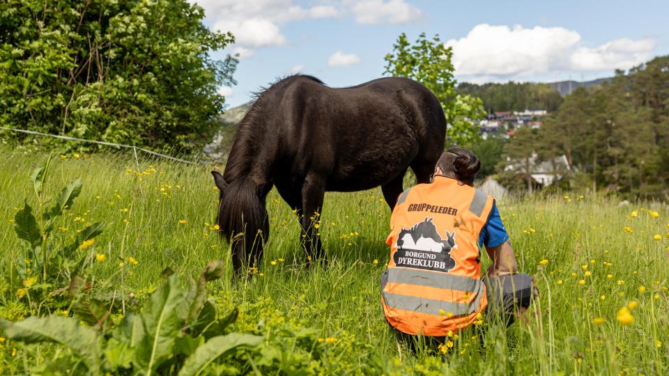 Lenke til artikkel: Voksenopplæring