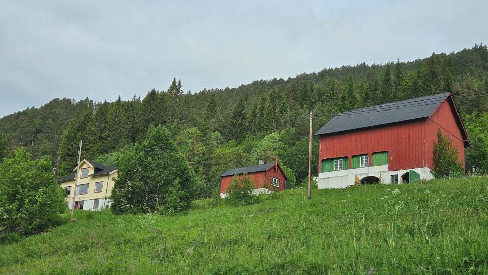 Lenkje til artikkel: Rive- og ryddearbeid ved Brusdalsvatnet
