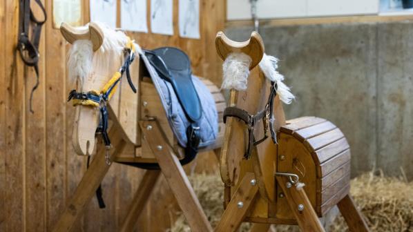Lenke til artikkel: Barneridning og rideturer