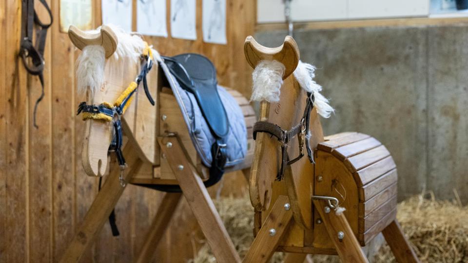 Lenke til artikkel: Barneridning og rideturer