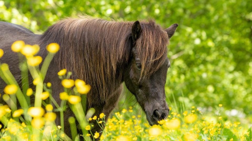 Lenke til artikkel: Ferie- og sommertilbud