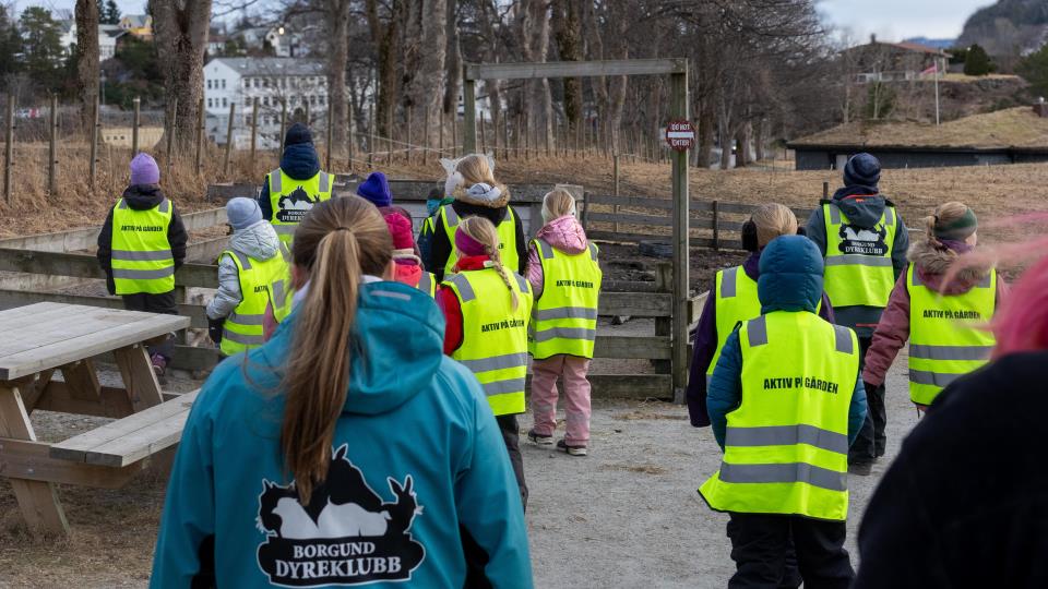 Lenke til artikkel: Gruppeaktiviteter