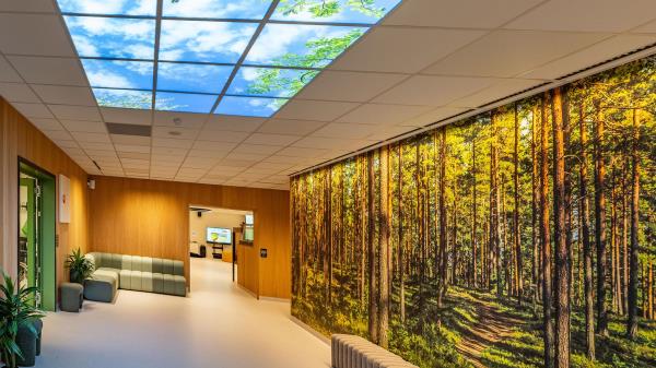 Lenkje til artikkel: Hatlane skole inviterer til åpen dag 