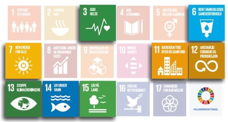 17 firkantar som symboliserer FNs 17 bærekraftsmål. Nummer 3, 7, 10,11, 13, 14 og 15 er utheva. - Klikk for stort bilete