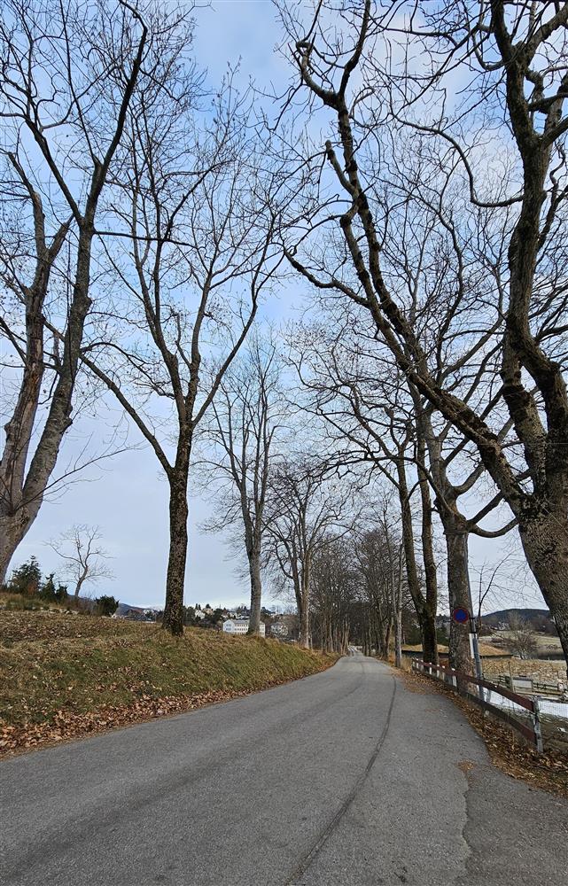 veg med alle - Klikk for stort bilete