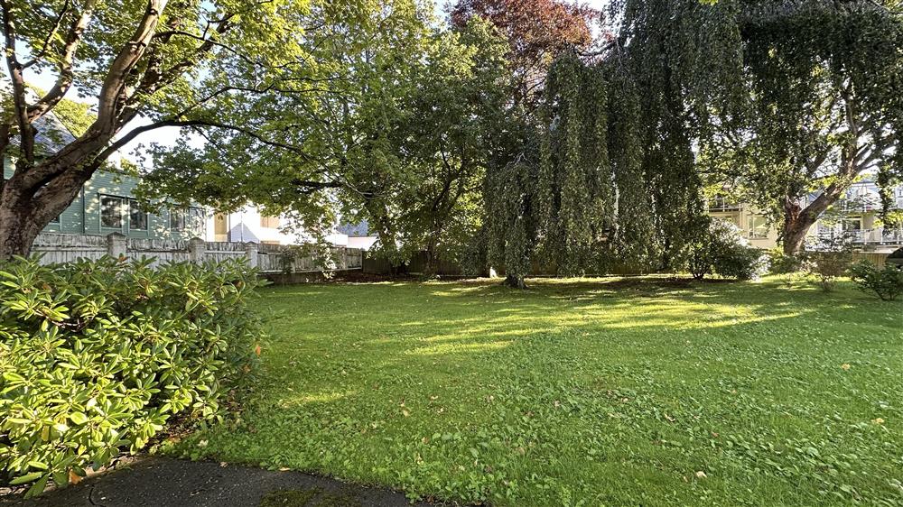 bilde fra dagens hage, som viser både kvaliteter og mangler - Klikk for stort bilete