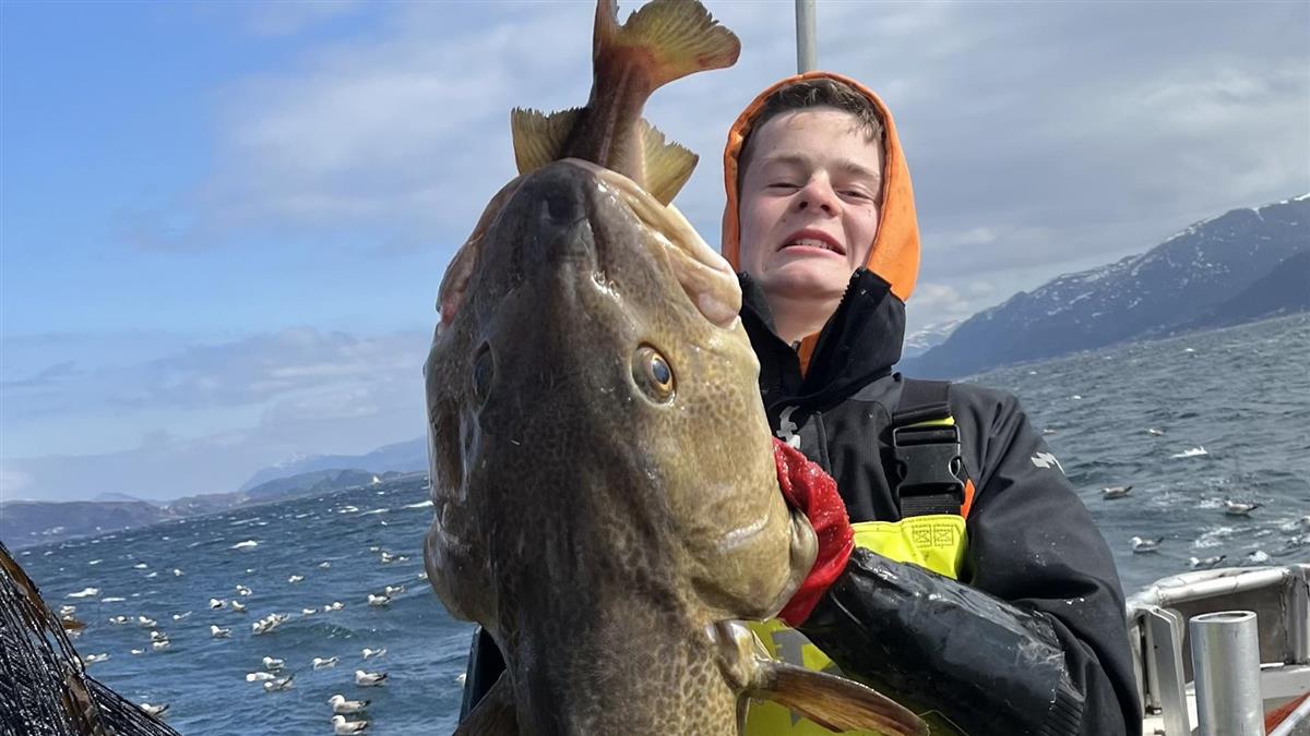 Ein gutt som held ein svær torsk - Klikk for stort bilete