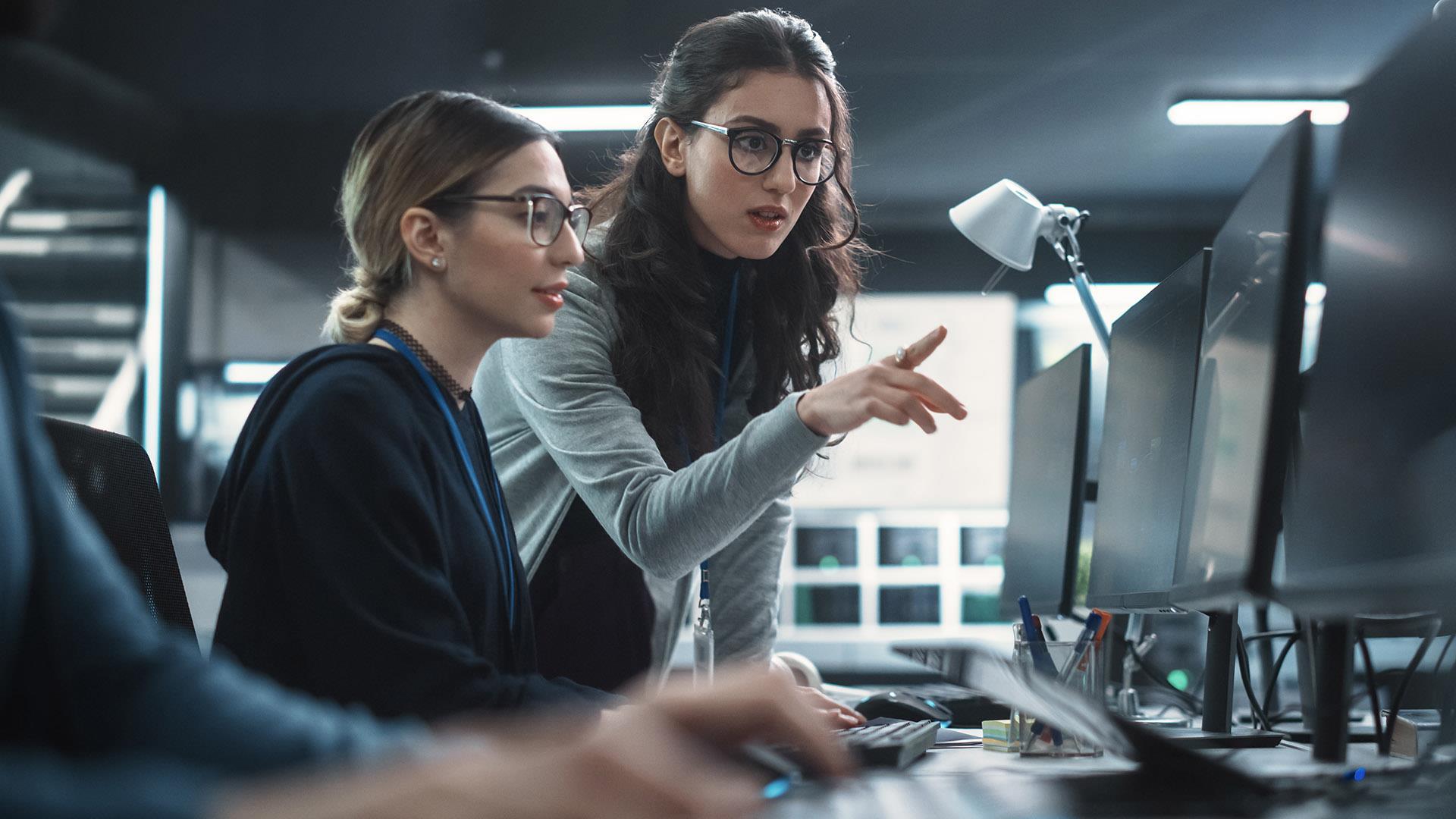 To damer ser på ein dataskjerm.