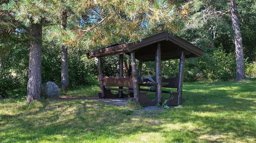 Rasteplass i skogen - Klikk for stort bilete