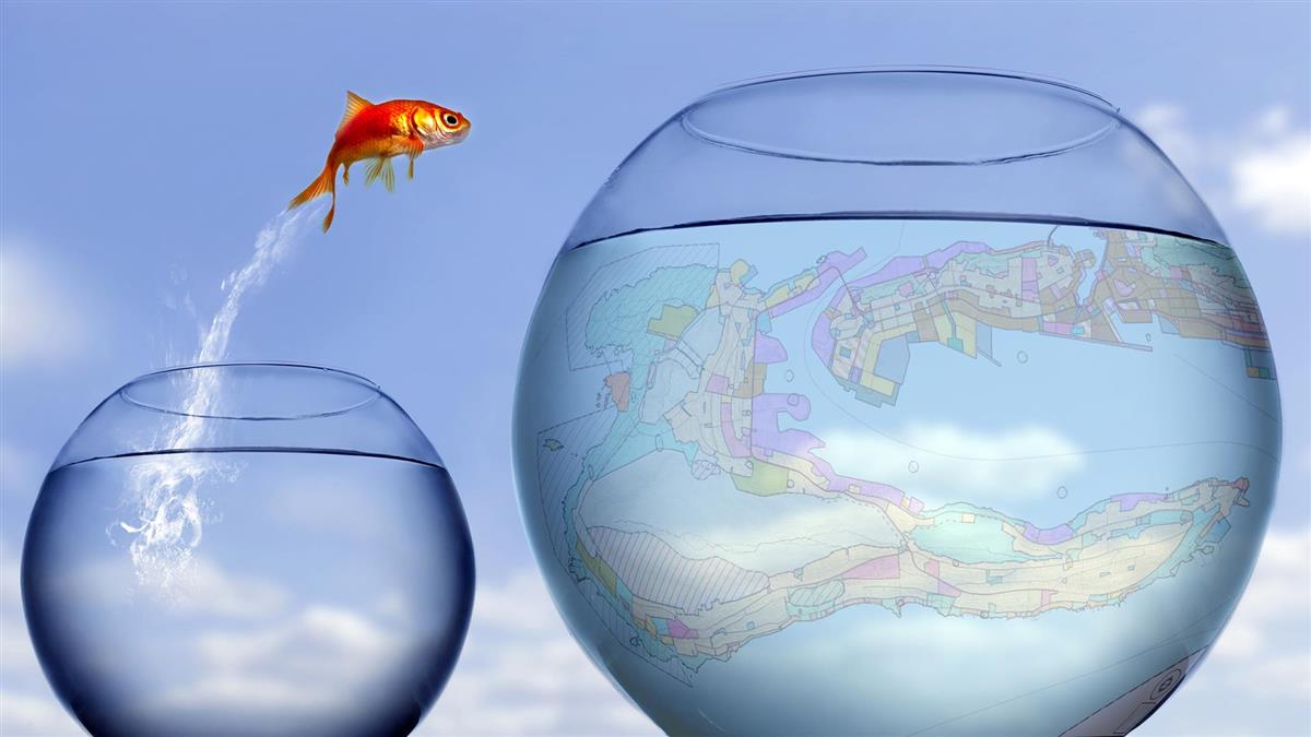 Ein gullfisk som hoppar mellom to glassbollar. - Klikk for stort bilete