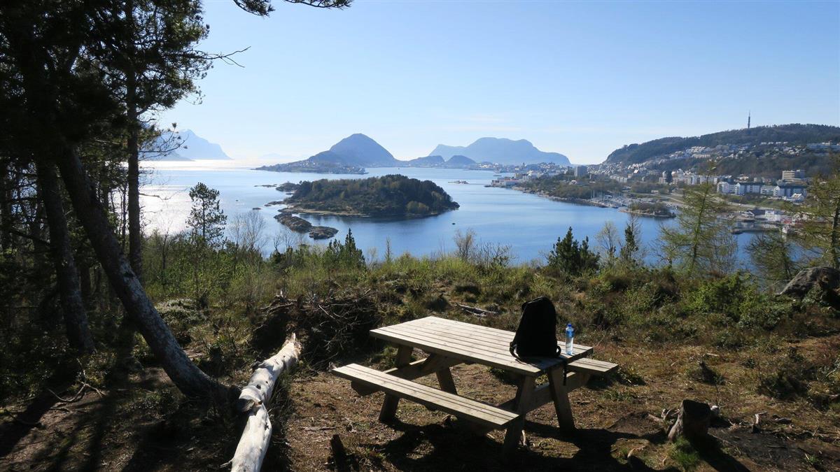 Ein benk i skogen med sjøutsikt - Klikk for stort bilete