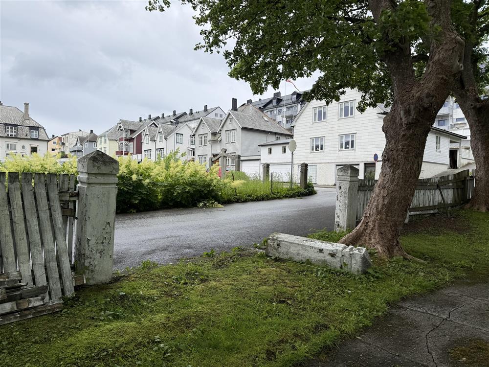 bilde fra dagens hage, som viser både kvaliteter og mangler - Klikk for stort bilete