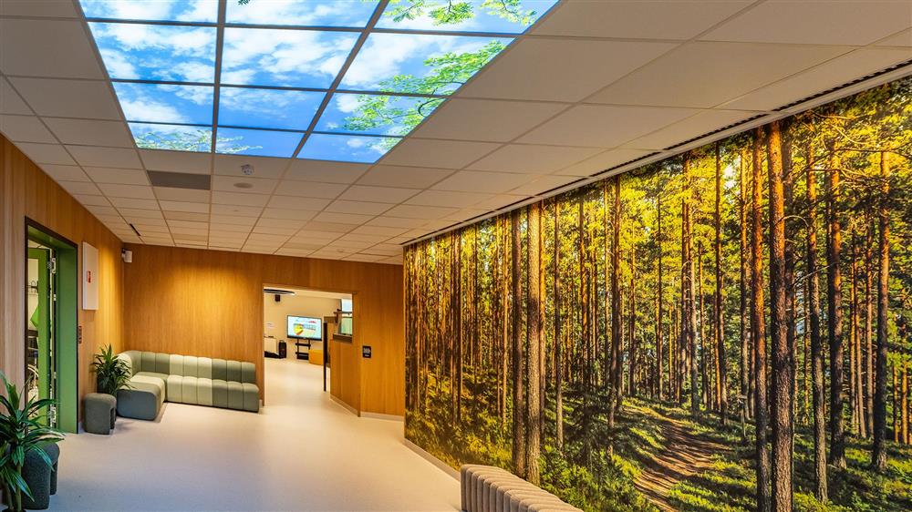 Et rom med skogstapet og bilde av skyer og skog i taket.  - Klikk for stort bilete