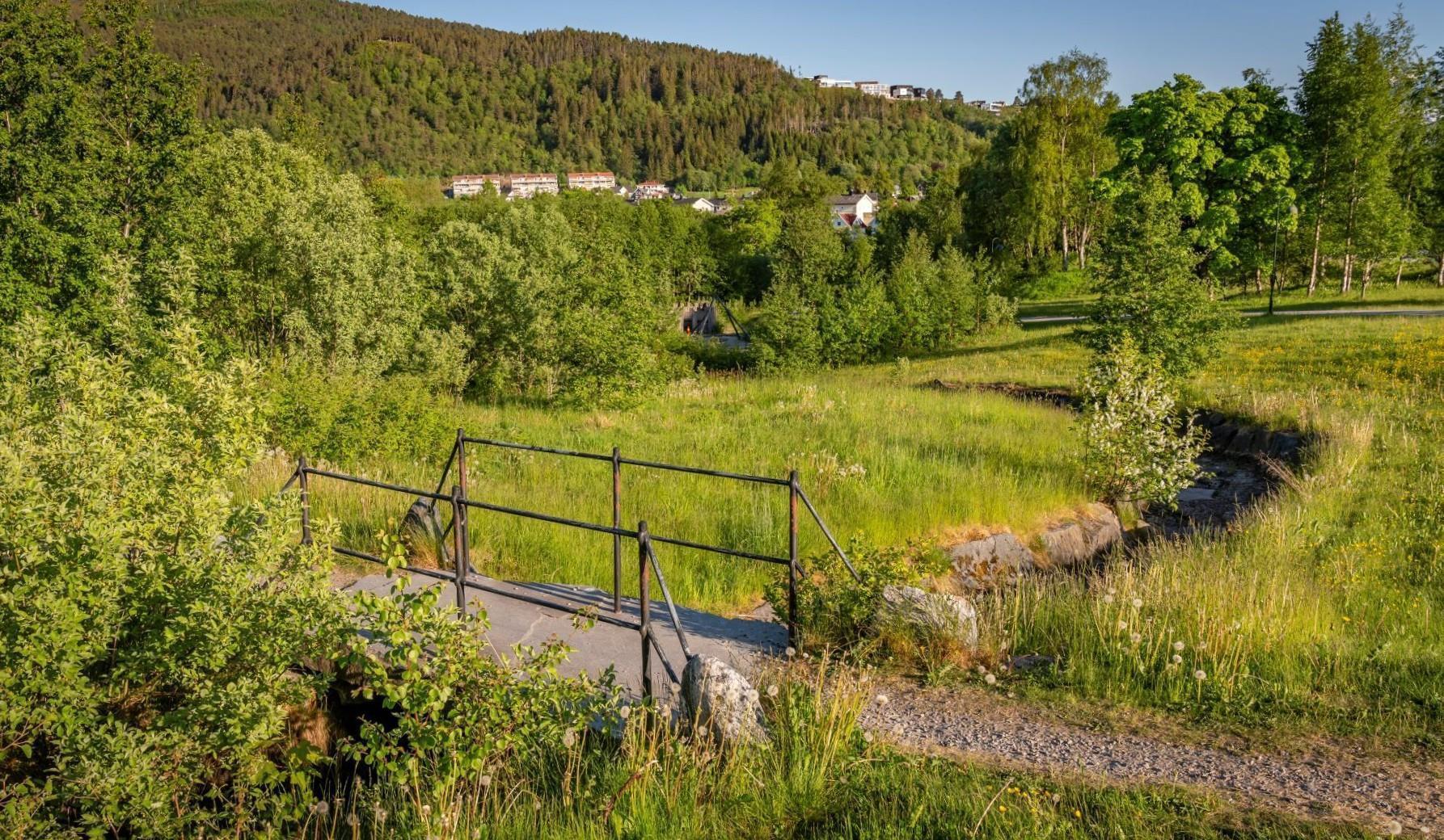 Landskapsbilde som viser spjelkavikkanalen og grønnområdet rundt