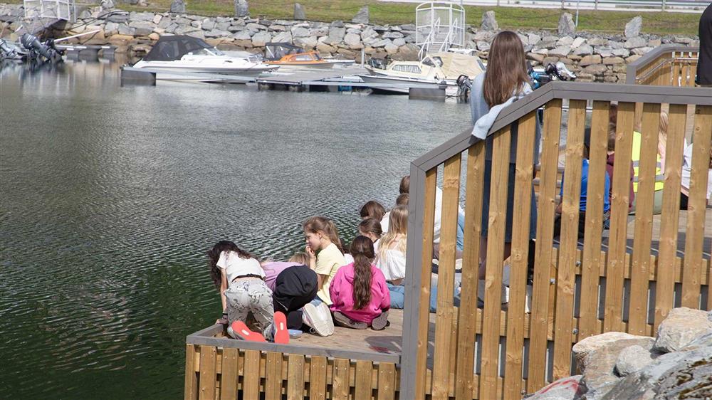 Barn på brygga - Klikk for stort bilete