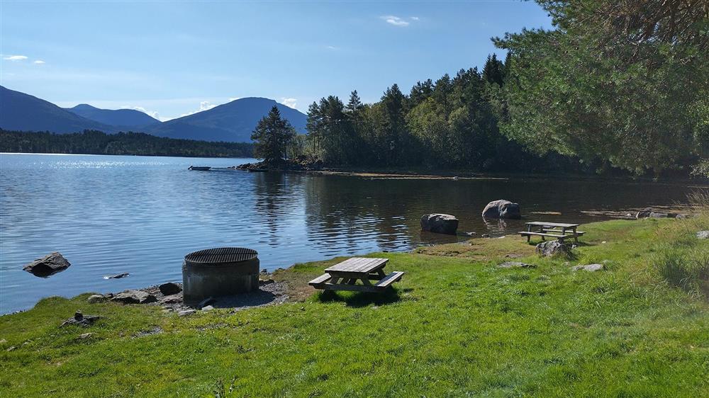 Badeeplass - Klikk for stort bilete